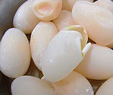 卵塞(卵づまり)　診断