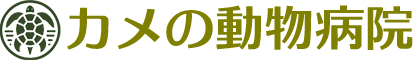 カメの動物病院｜亀専門の診療を行う東京の動物病院