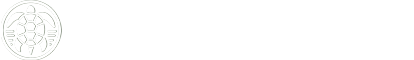カメの動物病院｜亀専門の診療を行う東京の動物病院